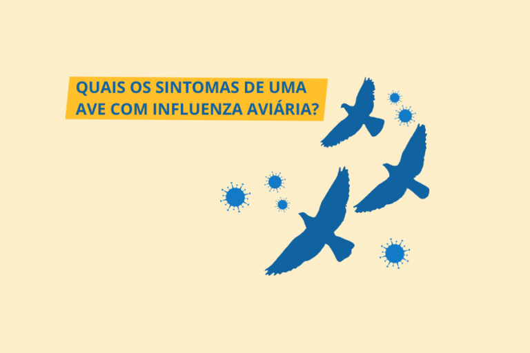 Banners site ia (900 × 600 px) (1)