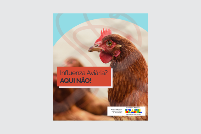 Banners site ia (900 × 600 px) (2)