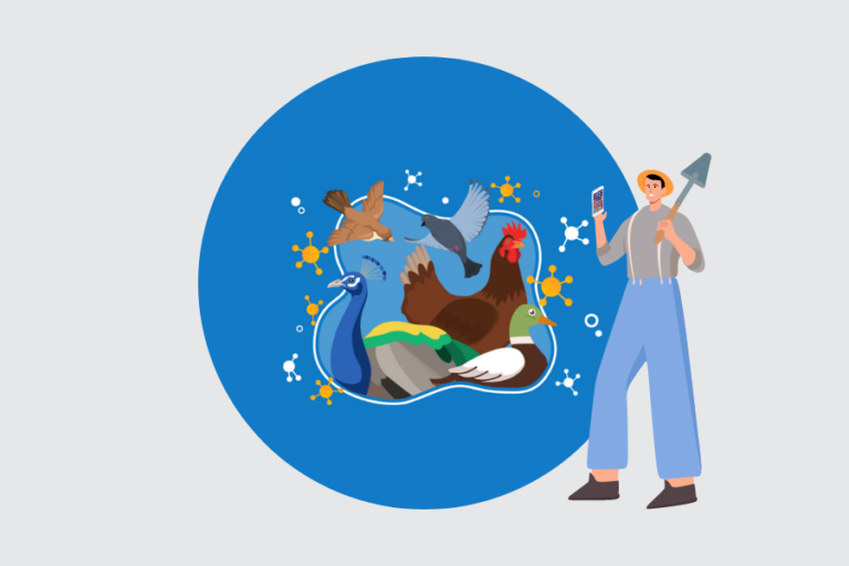 Banners site ia (900 × 600 px)